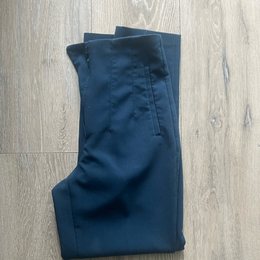 Zara pants